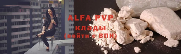 apvp Новозыбков