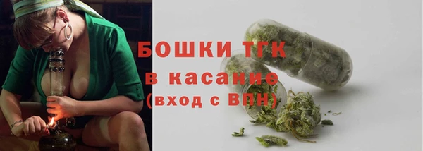 apvp Новозыбков