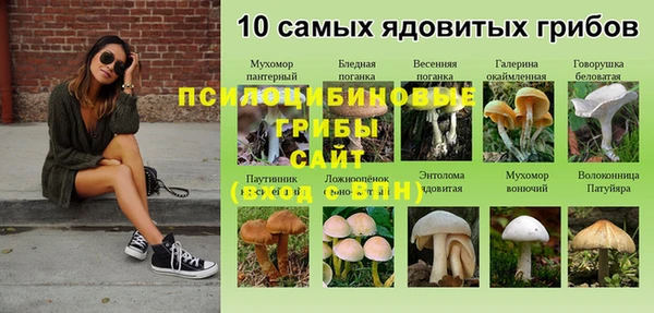 героин Новодвинск
