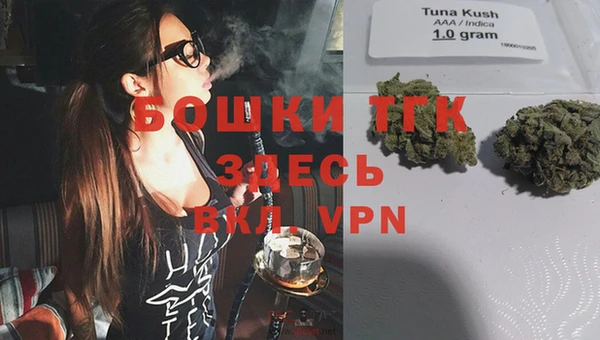 apvp Новозыбков
