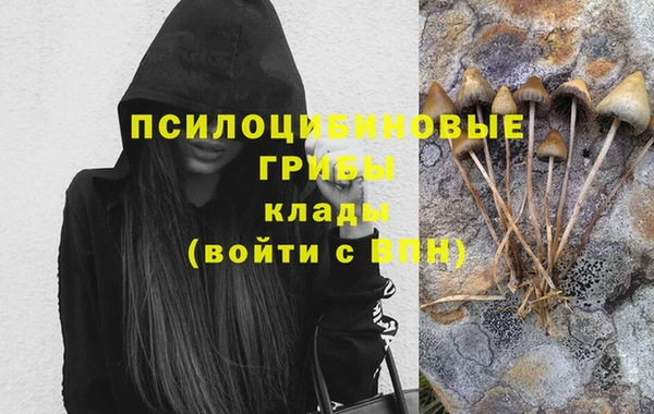 героин Новодвинск